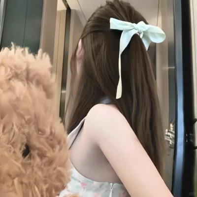 大鸟和小鸟
