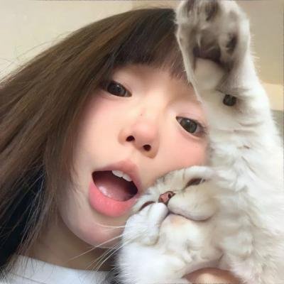 鹰之路